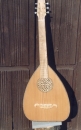 The Lute guitar