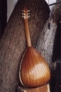 The Lute guitar